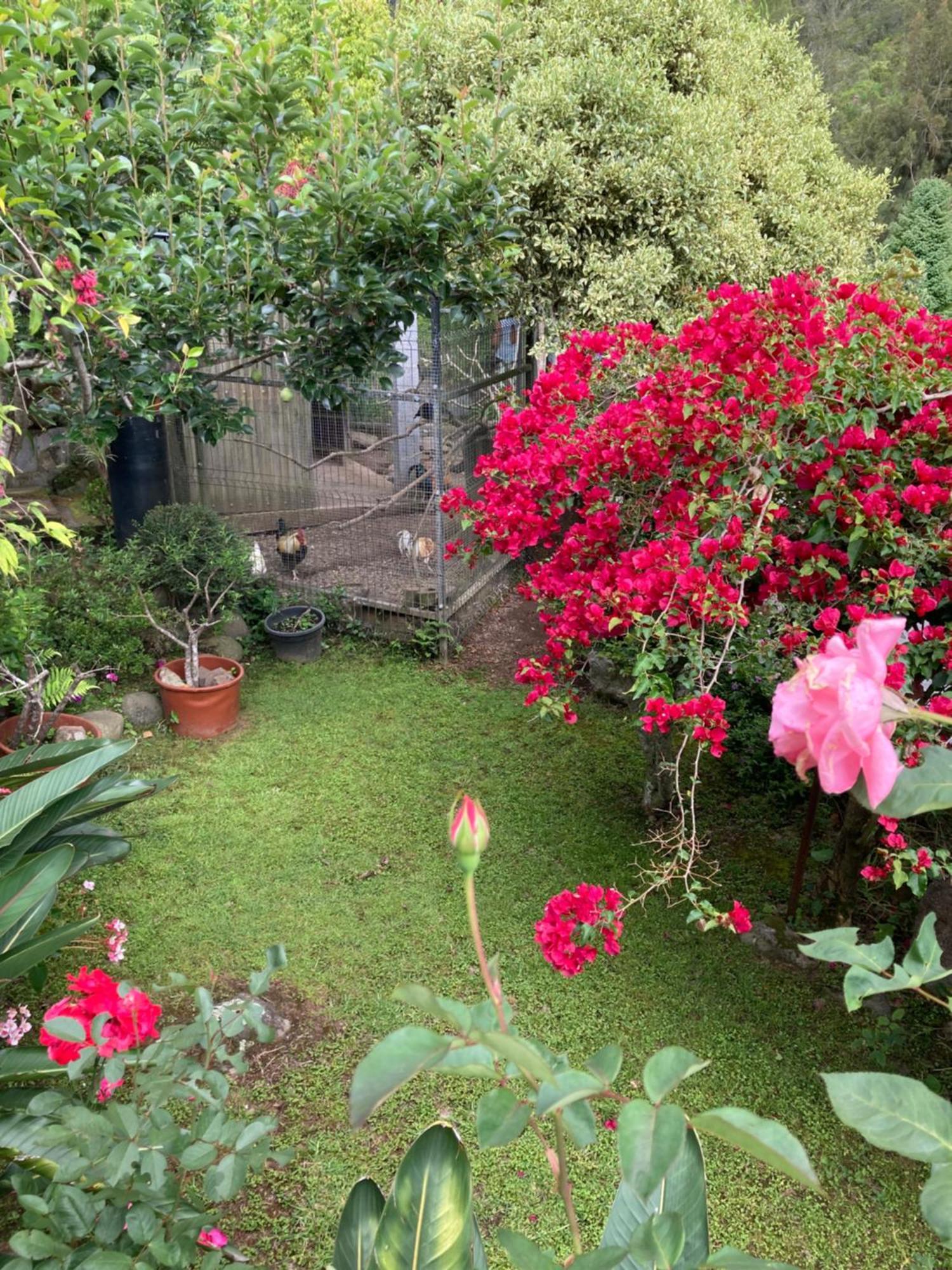 Villa Les Begonias à Cilaos Extérieur photo